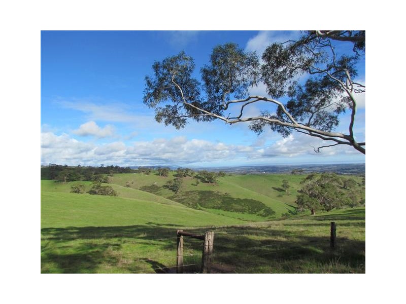 Lot 99 Toops Hill Road, Mclaren Flat SA 5171