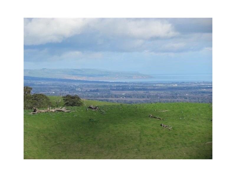 Lot 99 Toops Hill Road, Mclaren Flat SA 5171