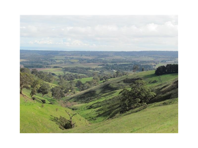 Lot 99 Toops Hill Road, Mclaren Flat SA 5171