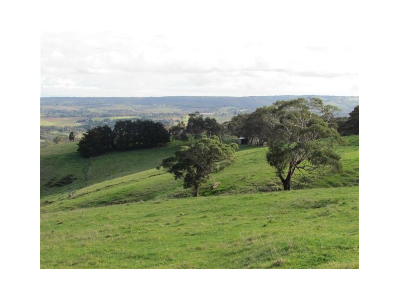 Lot 99 Toops Hill Road, Mclaren Flat SA 5171