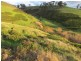 Lot 99 Toops Hill Road, Mclaren Flat SA 5171