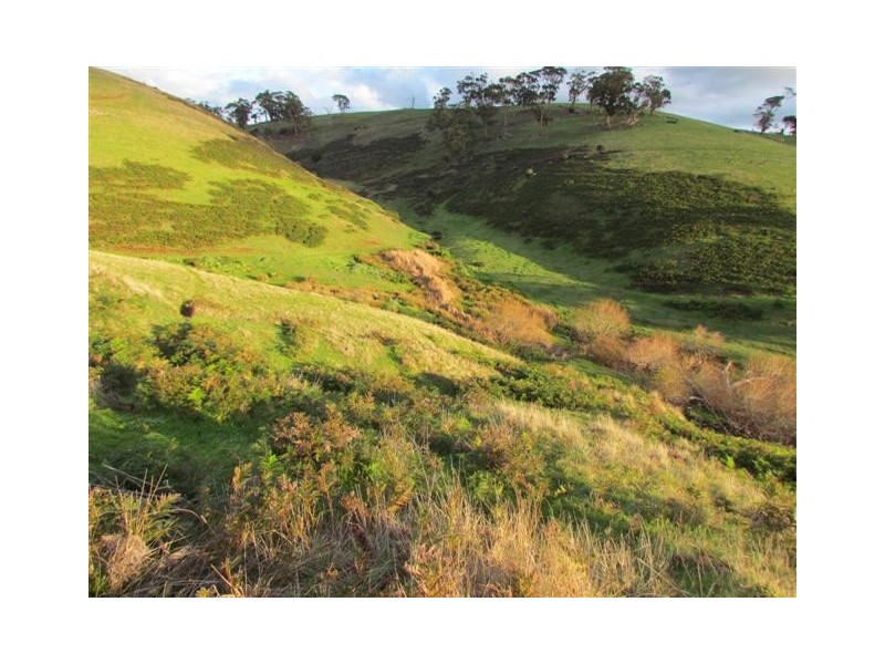 Lot 99 Toops Hill Road, Mclaren Flat SA 5171