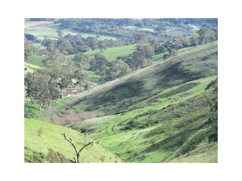 Lot 99 Toops Hill Road, Mclaren Flat SA 5171