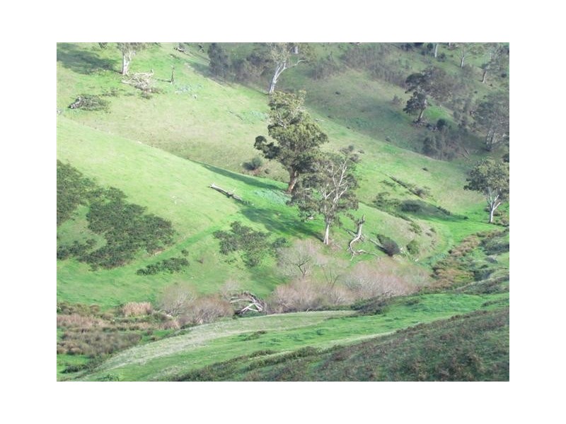 Lot 99 Toops Hill Road, Mclaren Flat SA 5171