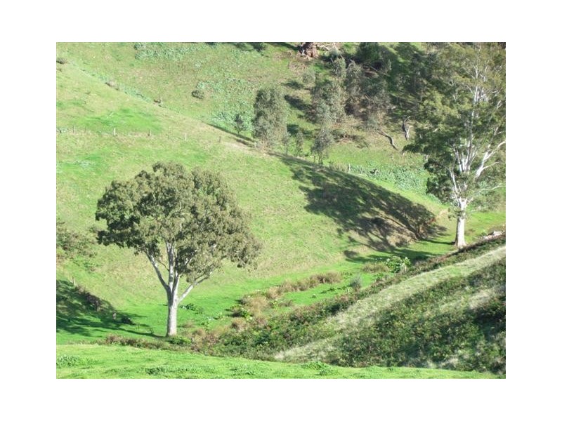 Lot 99 Toops Hill Road, Mclaren Flat SA 5171