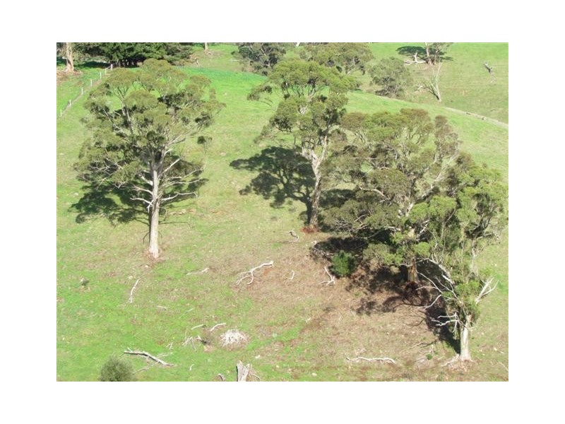 Lot 99 Toops Hill Road, Mclaren Flat SA 5171