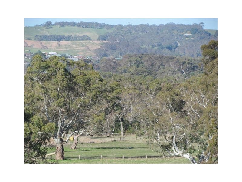 Lot 51 Claren Road, Meadows SA 5201