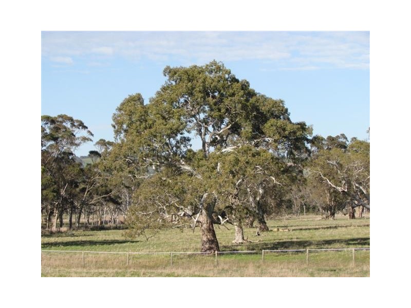 Lot 51 Claren Road, Meadows SA 5201