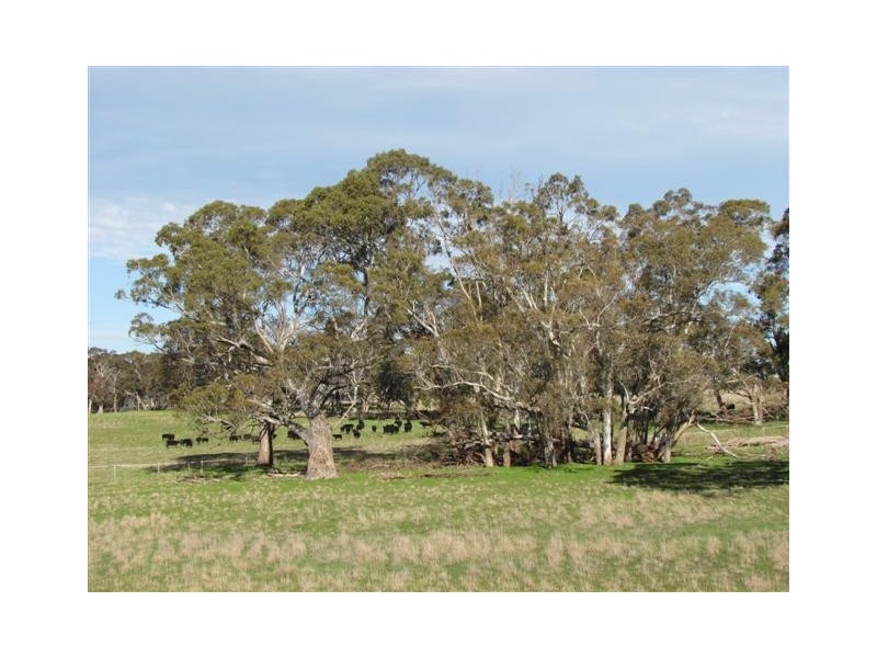 Lot 51 Claren Road, Meadows SA 5201