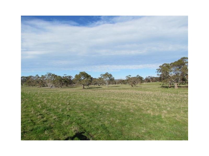 Lot 51 Claren Road, Meadows SA 5201
