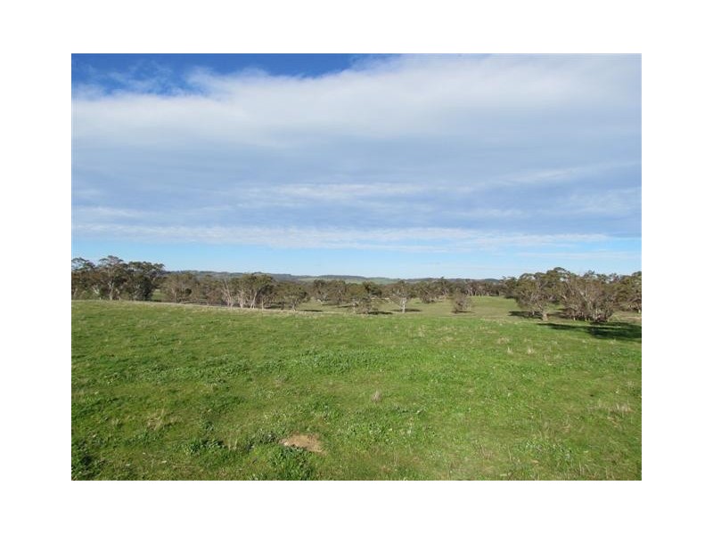 Lot 51 Claren Road, Meadows SA 5201