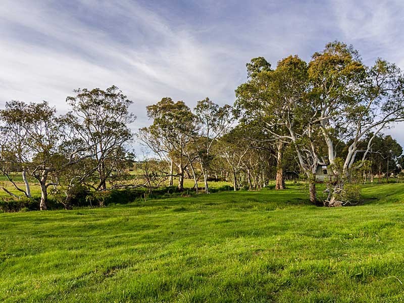 850 Brookman Road via Kuitpo, Meadows SA 5201