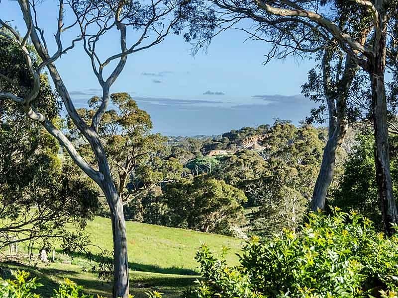 57 Creek Crescent, Meadows SA 5201