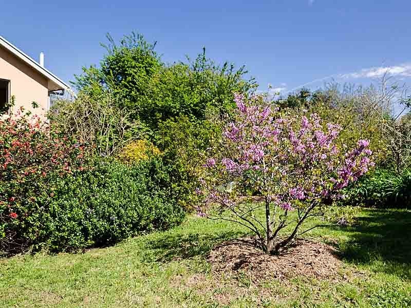 57 Creek Crescent, Meadows SA 5201