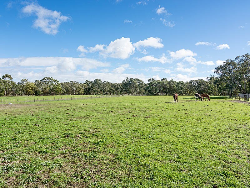 11 Sidler Road, Meadows SA 5201