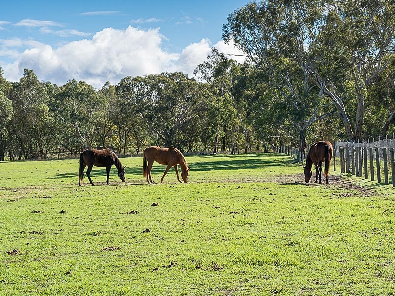 11 Sidler Road, Meadows SA 5201