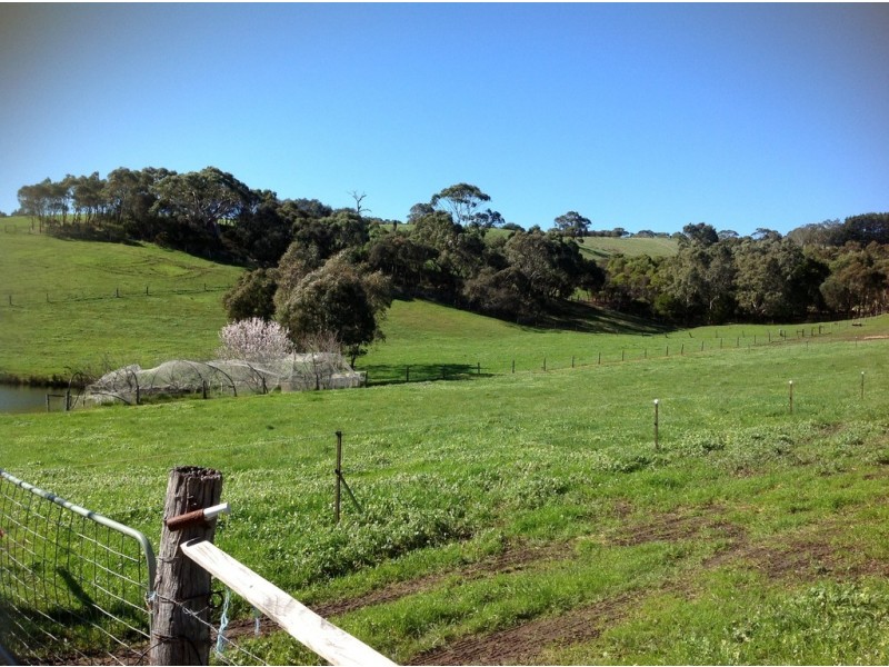 361 Bull Creek Road, Meadows SA 5201