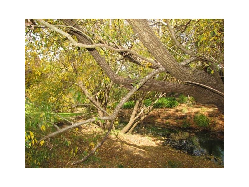 70 Venables Street, Macclesfield SA 5153