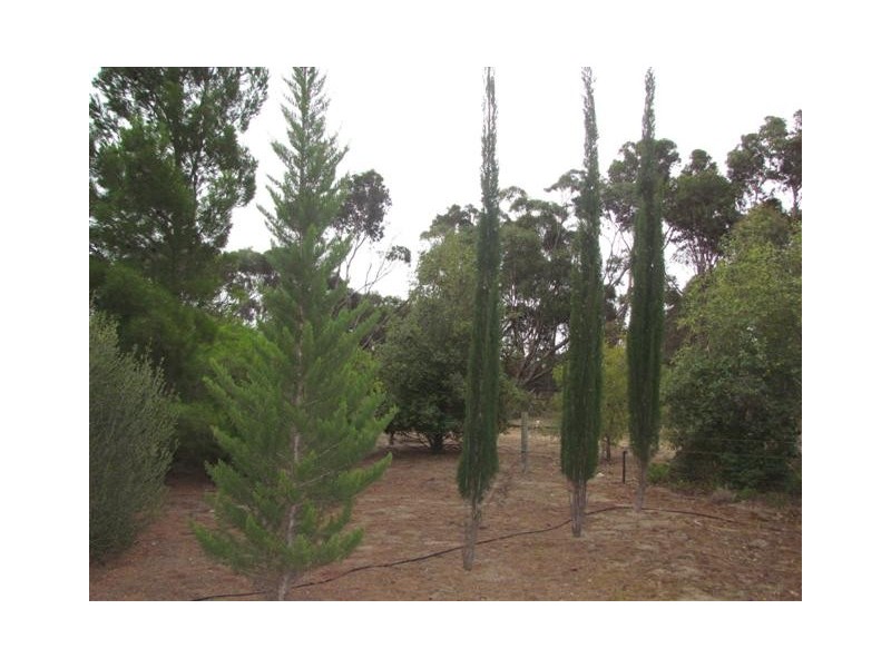 1229 Milang Road, Milang SA 5256