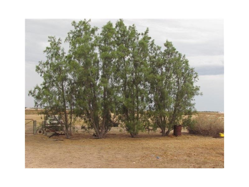 1229 Milang Road, Milang SA 5256