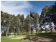 15 Gloucester Terrace, Mclaren Vale SA 5171