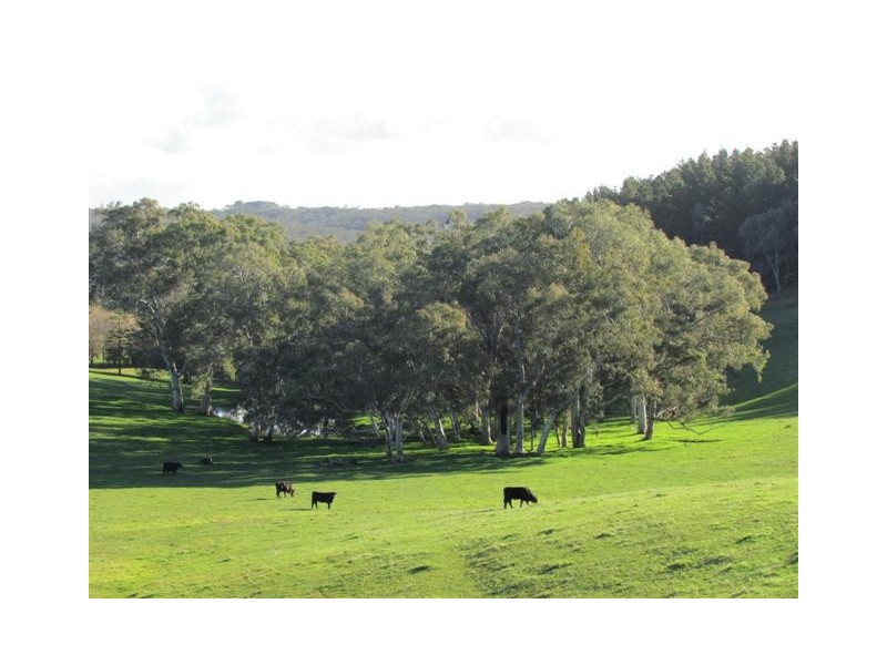 Lot 18 Oakley Road, Prospect Hill SA 5201