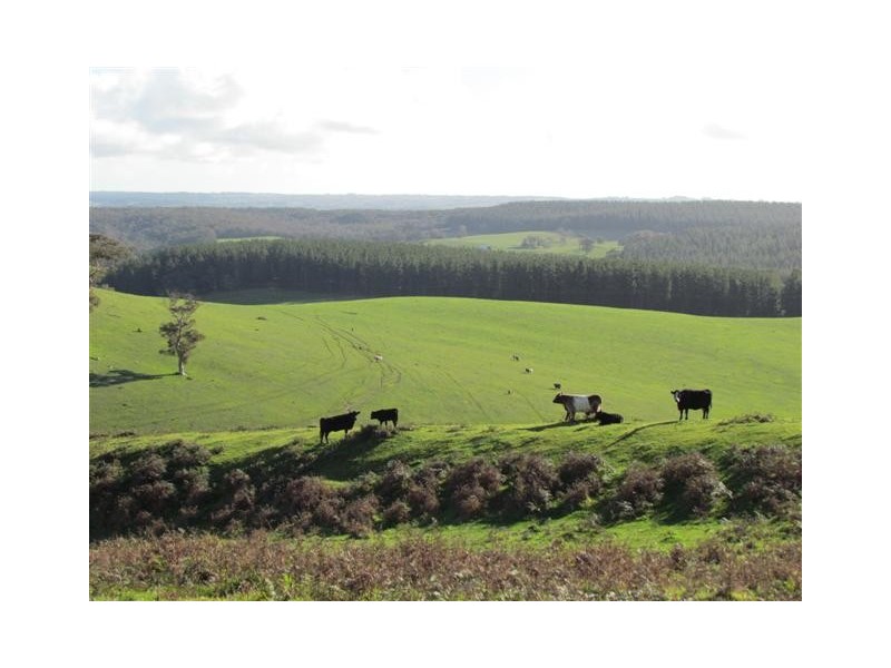 Lot 18 Oakley Road, Prospect Hill SA 5201