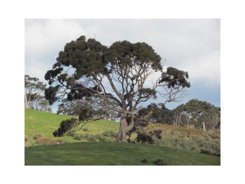 Lot 18 Oakley Road, Prospect Hill SA 5201