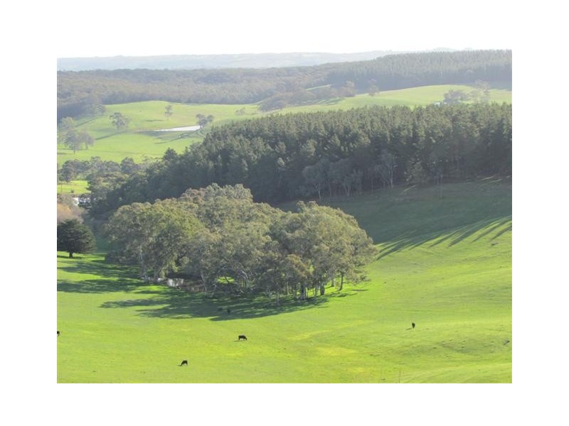 Lot 18 Oakley Road, Prospect Hill SA 5201