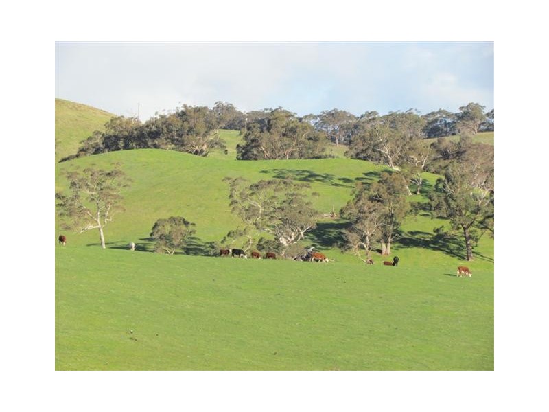 Lot 18 Oakley Road, Prospect Hill SA 5201
