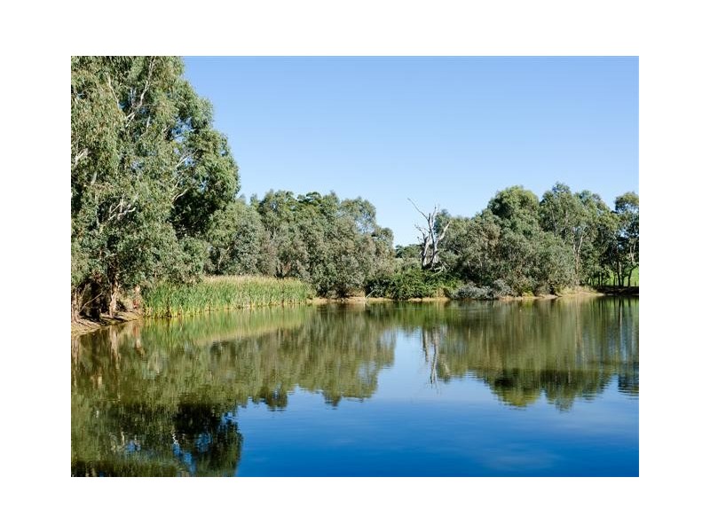 13 Wicks Road, Meadows SA 5201