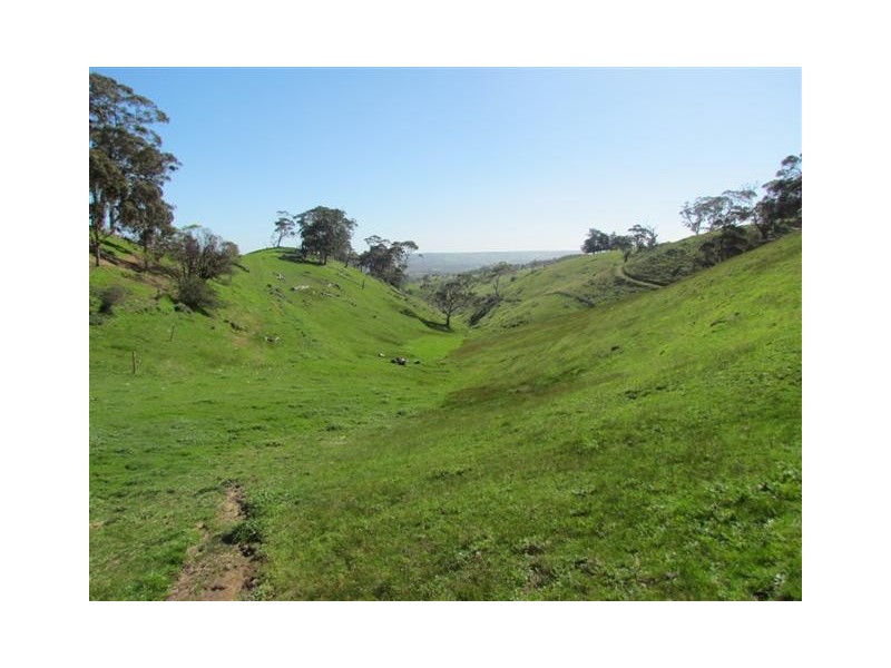 Lot 1 Toops Hill Road, Mclaren Flat SA 5171