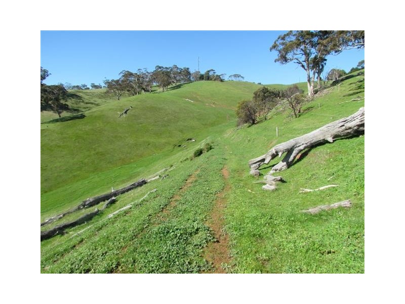 Lot 1 Toops Hill Road, Mclaren Flat SA 5171