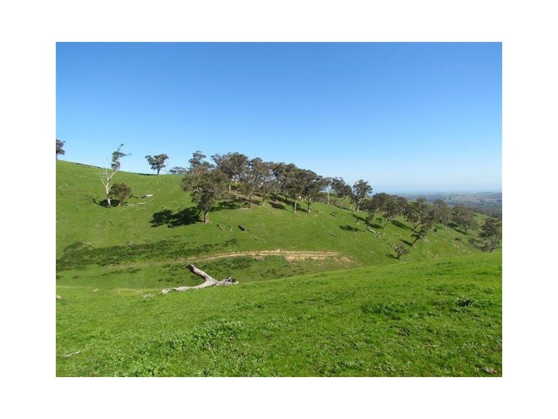Lot 1 Toops Hill Road, Mclaren Flat SA 5171