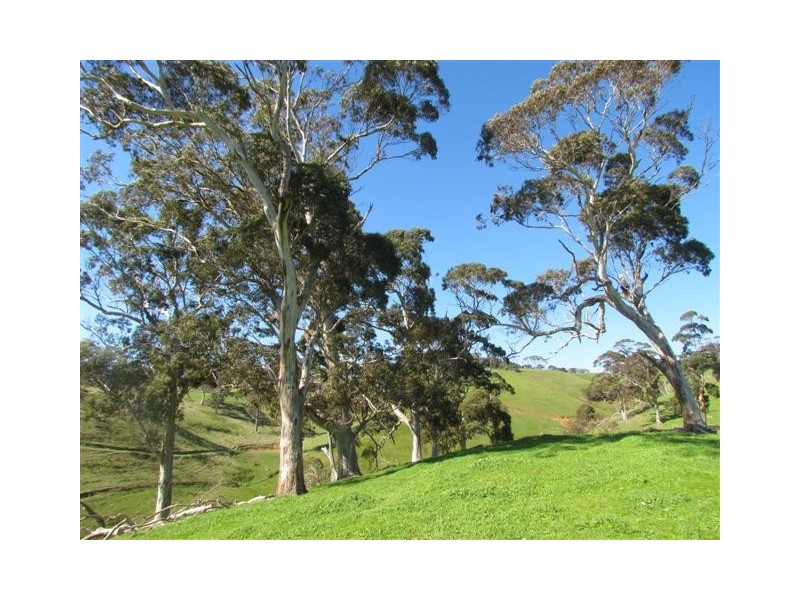 Lot 1 Toops Hill Road, Mclaren Flat SA 5171