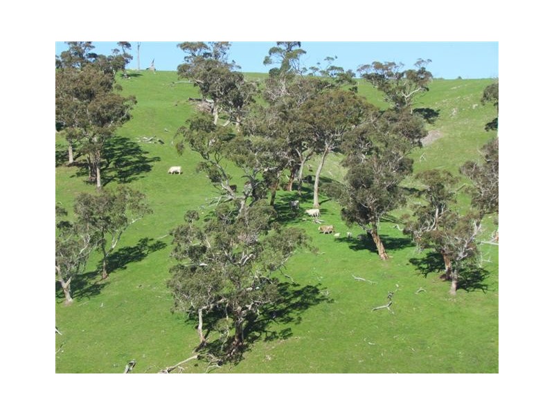 Lot 1 Toops Hill Road, Mclaren Flat SA 5171
