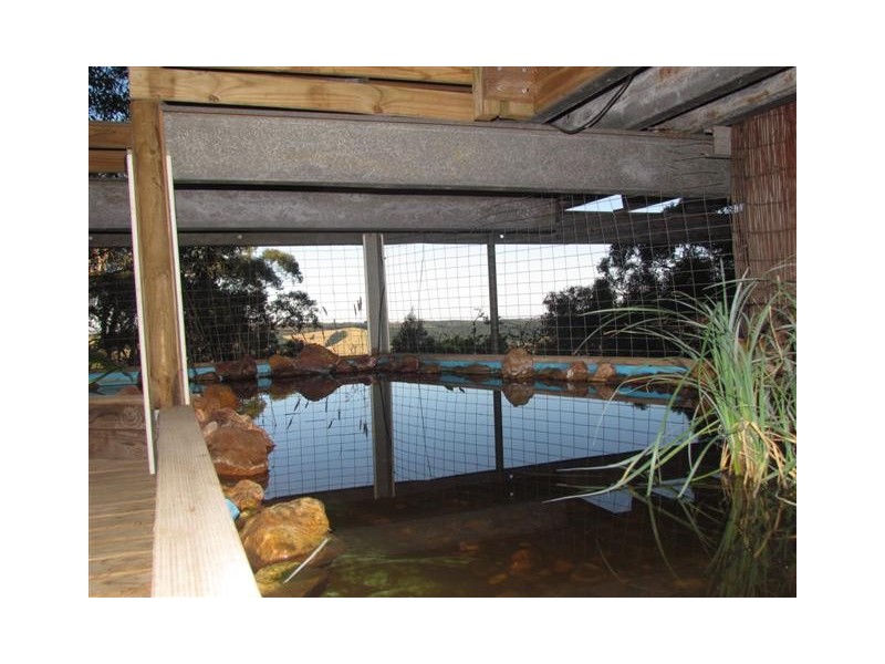 270 Bald Hill Road, Prospect Hill SA 5201