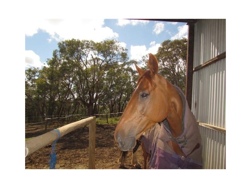 270 Bald Hill Road, Prospect Hill SA 5201