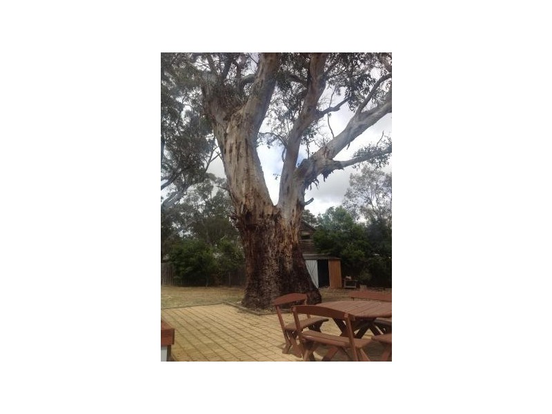 28 Wirrinilla Drive, Macclesfield SA 5153