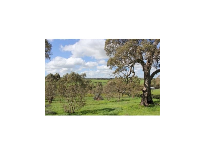 4 Yates Lane, Macclesfield SA 5153