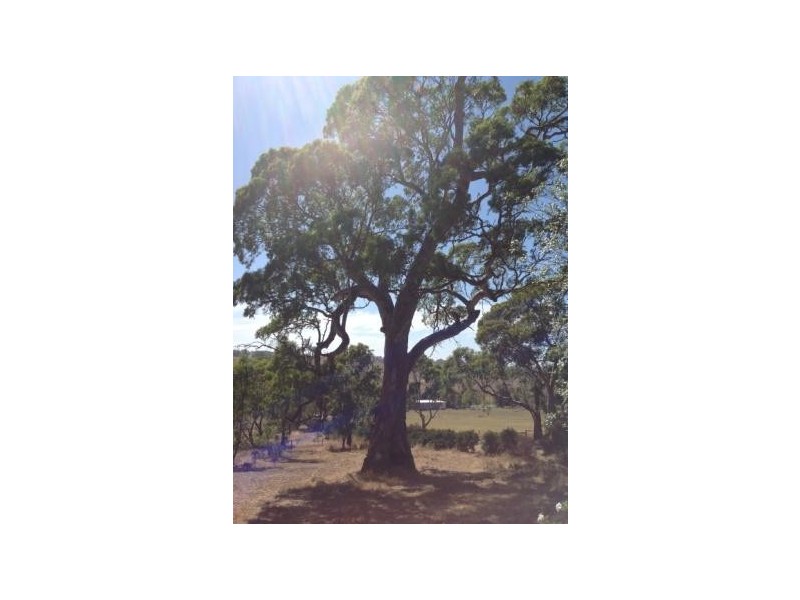 4 Yates Lane, Macclesfield SA 5153