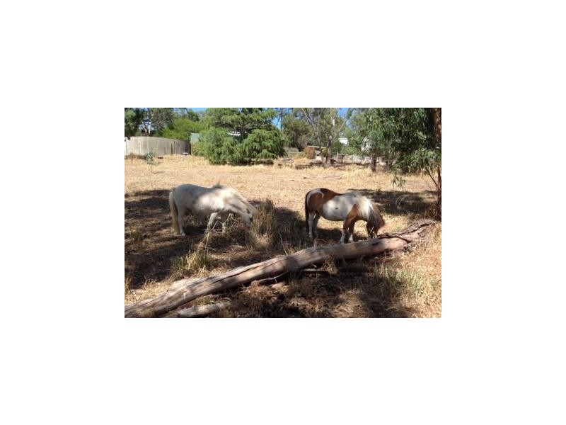 4 Yates Lane, Macclesfield SA 5153