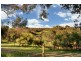 28 Ti Tree Road Via Prospect Hill, Meadows SA 5201