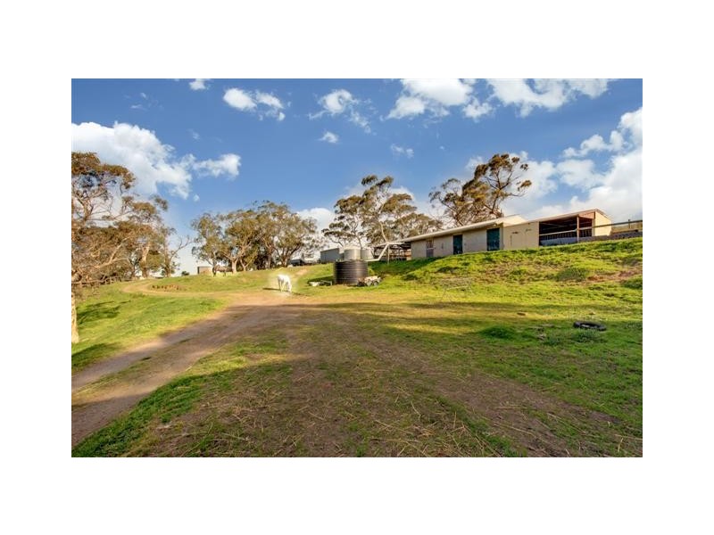 28 Ti Tree Road Via Prospect Hill, Meadows SA 5201