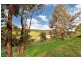 28 Ti Tree Road Via Prospect Hill, Meadows SA 5201