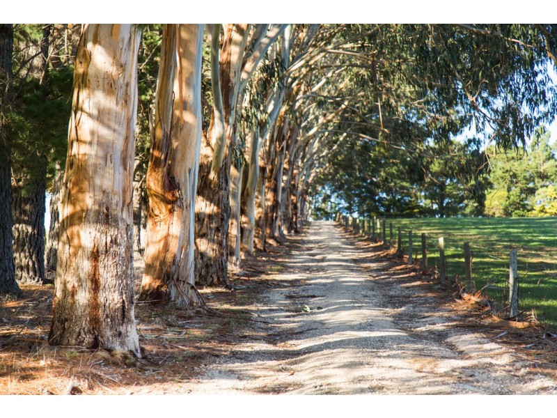 159 Shady Grove Road, Macclesfield SA 5153