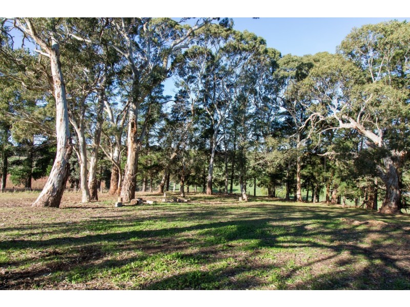 159 Shady Grove Road, Macclesfield SA 5153