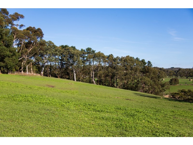 159 Shady Grove Road, Macclesfield SA 5153