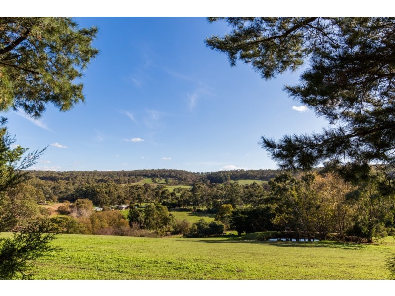 159 Shady Grove Road, Macclesfield SA 5153