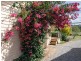 1324 Bull Creek Road,, Ashbourne SA 5157